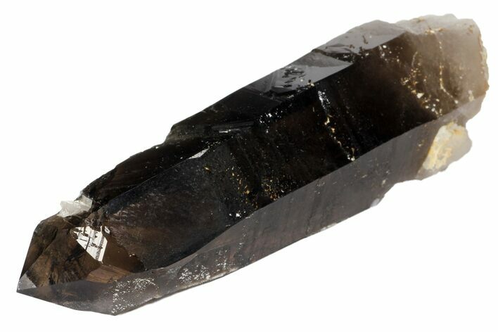 Smoky Quartz Crystal - Namibia #100383